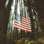 USA-flag-in-woods|July-2014-newsletter|koecolife.com