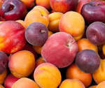 'THE DIRTY DOZEN' – TOP 12 MOST TOXIC PRODUCE|why-buying-organic-matter|peaches-nectarines