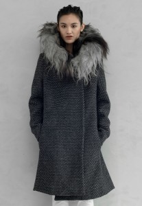 7-Hottest-Fall-eco-friendly-Fashion-Trends|TitaniaInglis-shearling-collar-coat