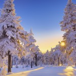 TOP-5-SECRETS-TO-AVOIDING-A-COLD-AND-FLU|winter-landscape|ko-kidz