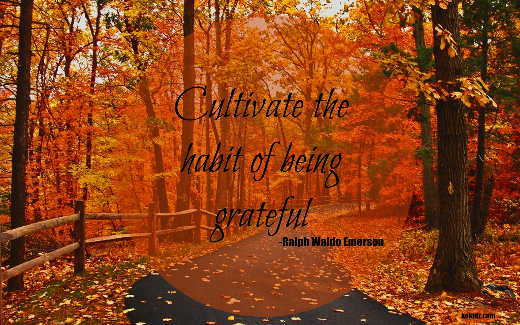 GIVE THANKS AND PRACTICE GRATITUDE DAILY FOR LONG, HAPPY LIFE|ko-ecolife|forest-autumn-road-fall-woods-leaves-landscape-emerson-quote