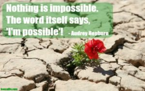 Monday-motivation-meditation-im-possible-audrey-hepburn-quote-red-flower-growing-out-of-rocks-ko-ecolife