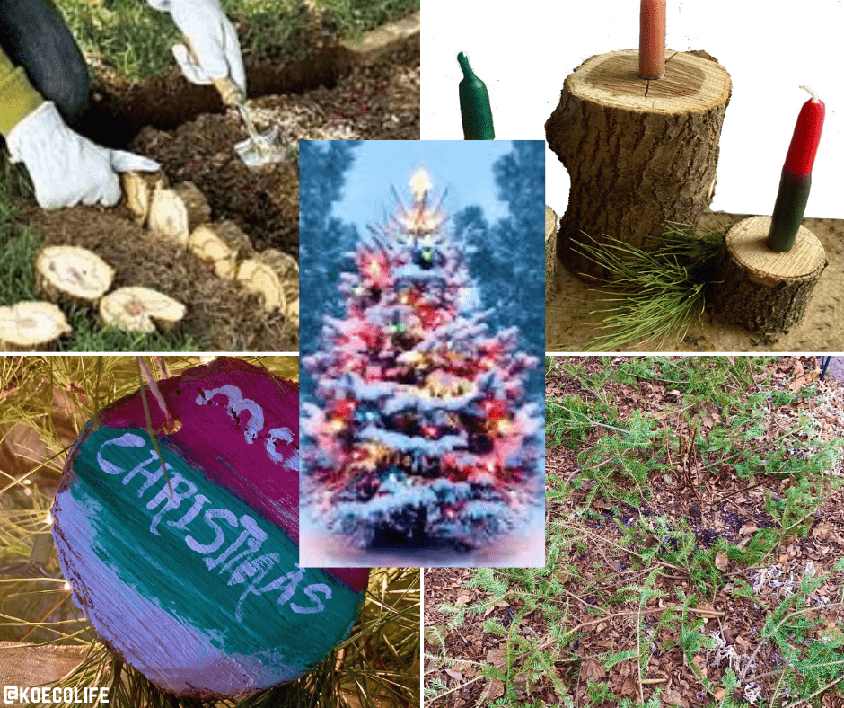 You are currently viewing 7 ECO ALTERNATIVES TO THROWING OUT YOUR CHRISTMAS TREE