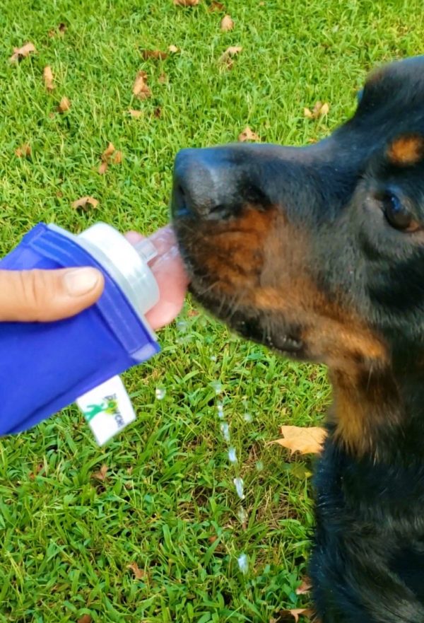 THE POWCH!™ - SMART. SIMPLE. RESPONSIBLE.</br>The Ultimate, Reusable, Collapsible, Waterproof Bottle/Container/Pouch</br>Made in the USA 🇺🇸 Gives Back with Every Purchase!❤️ - Image 6